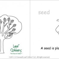 Activity: “A Living Tree” put-together book